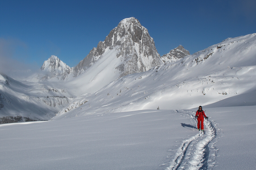 Hmmm...now I kinda wish I had brought my AT skis...