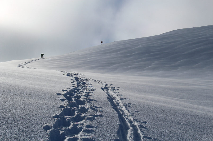 And they're still both breaking trail separately!