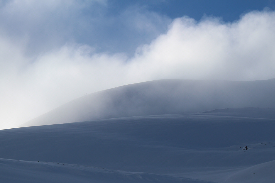 And this was the last I ever saw of them...on this day!