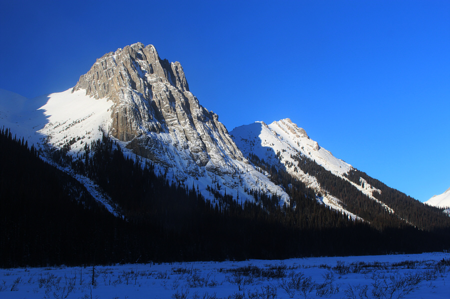 I guess I should wander up neighbouring Commonwealth Ridge one of these days...