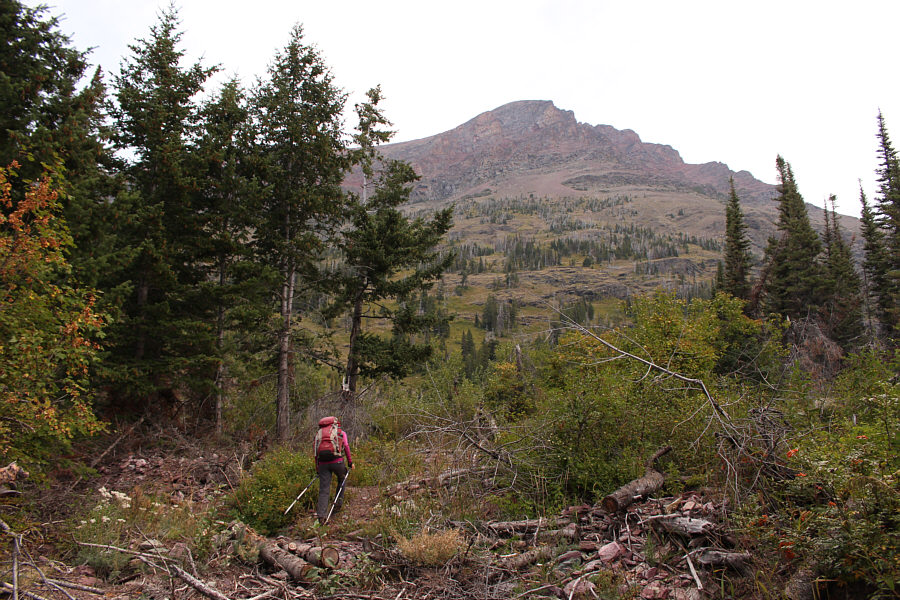 We probably could have kept going up here, but we weren't sure the route would go at the time.