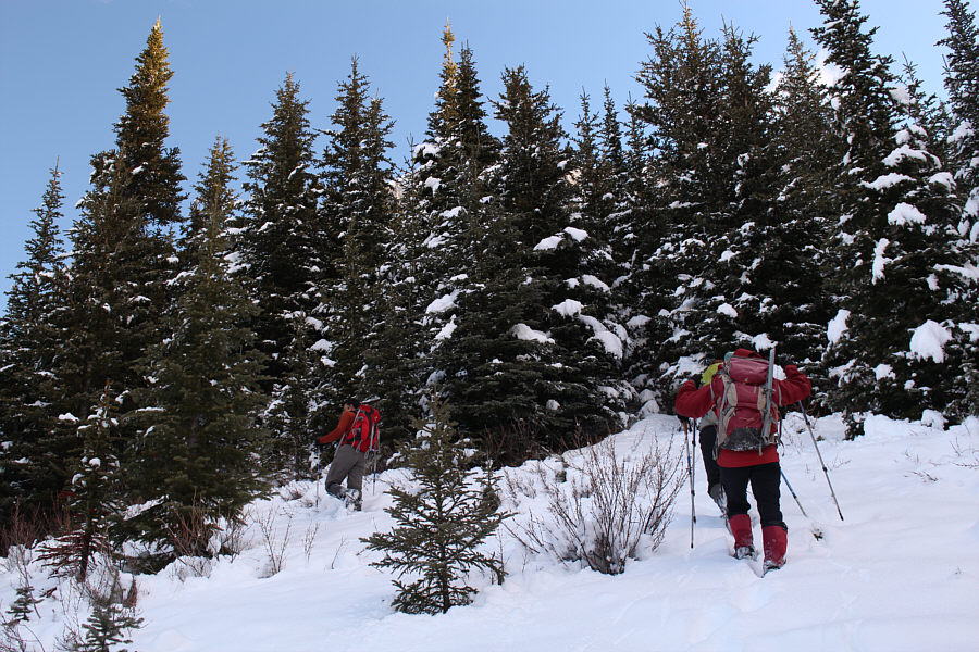 Thank you Ali and Zosia for breaking trail most of the way!