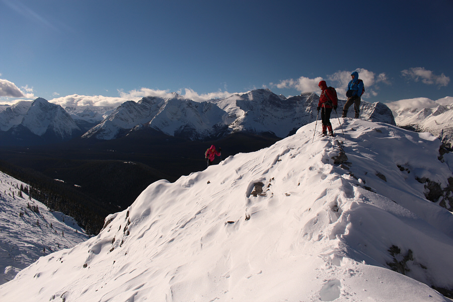 Still having fun, Asieh?