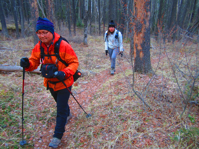 We won't be keeping this pace for long...