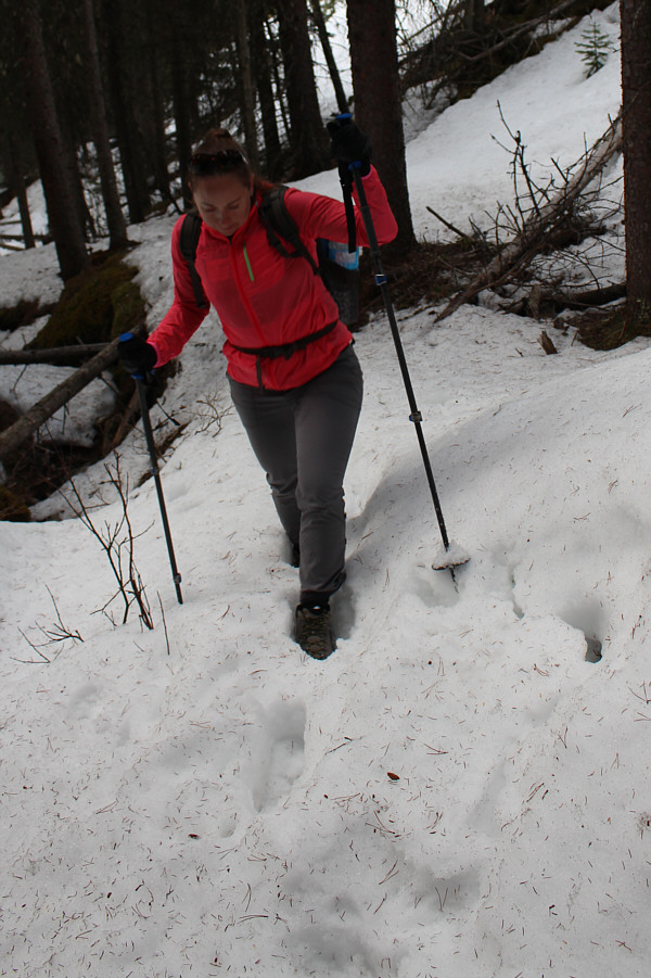 Only ankle-deep? No problem!