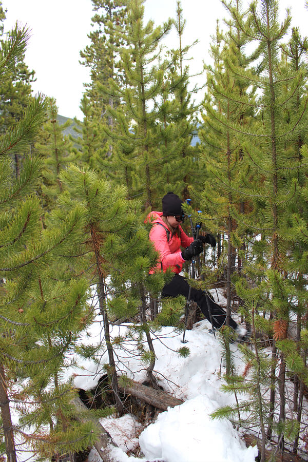 When does this trip become easy again??