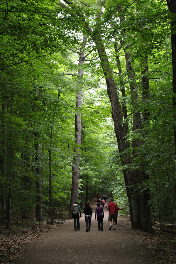 A good place for a walk in any weather.