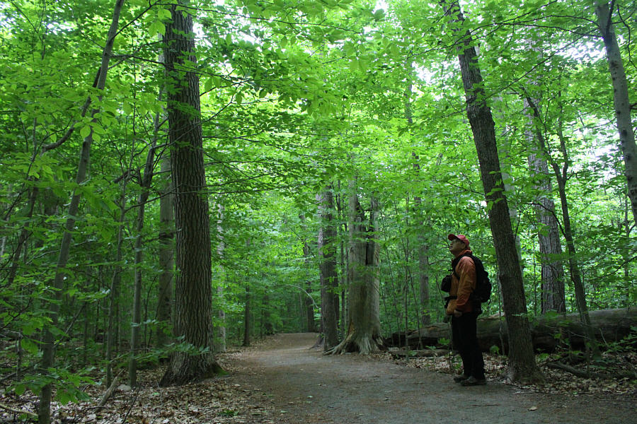 It seems that much more magical when there aren't a zillion people present...