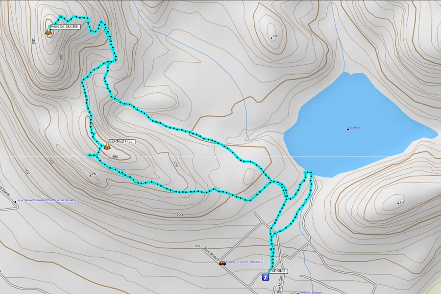 I'm glad I tagged the true summit, but I doubt I shall ever return.