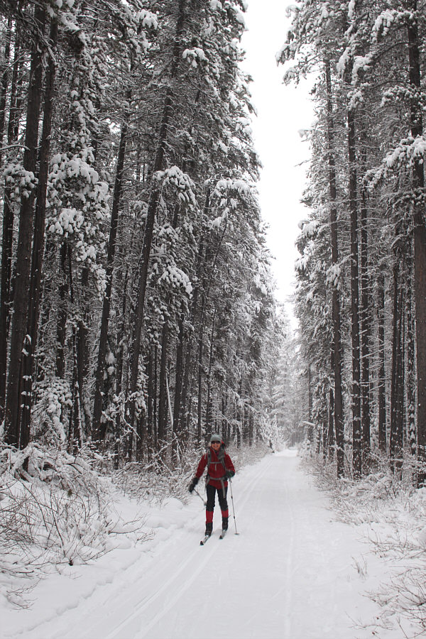 Ski or bike this trail; don't ever hike it!