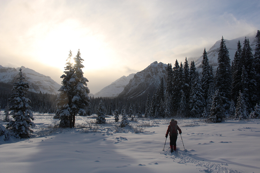 Shadow Lake likely would have been snow-covered anyway, so the views probably don't get much better than this.