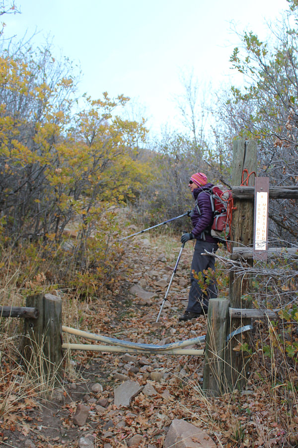 I wonder what could have bent that upper bar...