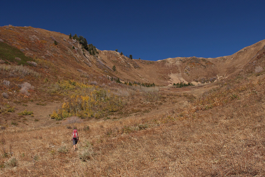 Prepare for a slog...in any direction!