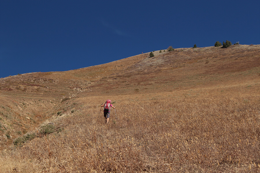 Believe it or not, we're still almost another hour to the top from here!!