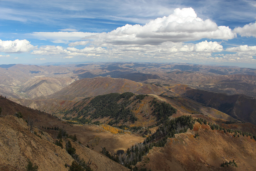Lotsa great ridge walking...or skiing!
