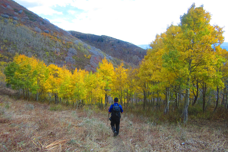 Time to give the knees a workout!