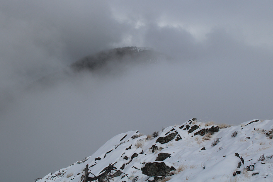 Hmm...doesn't look much clearer over there...