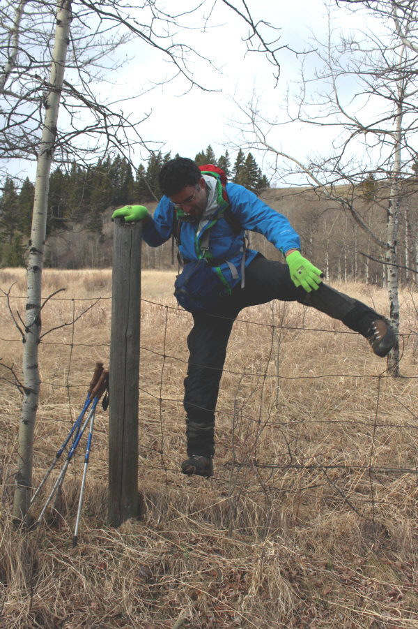 Ali is getting good at this!