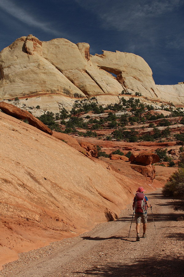 Peek-a-Boo, I see you!