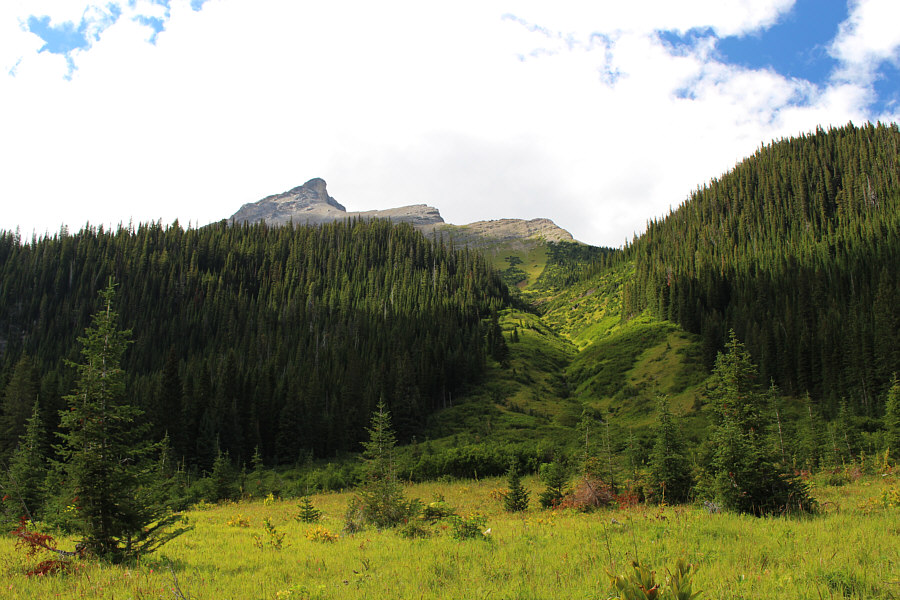 Maybe I should get up a little earlier next time...