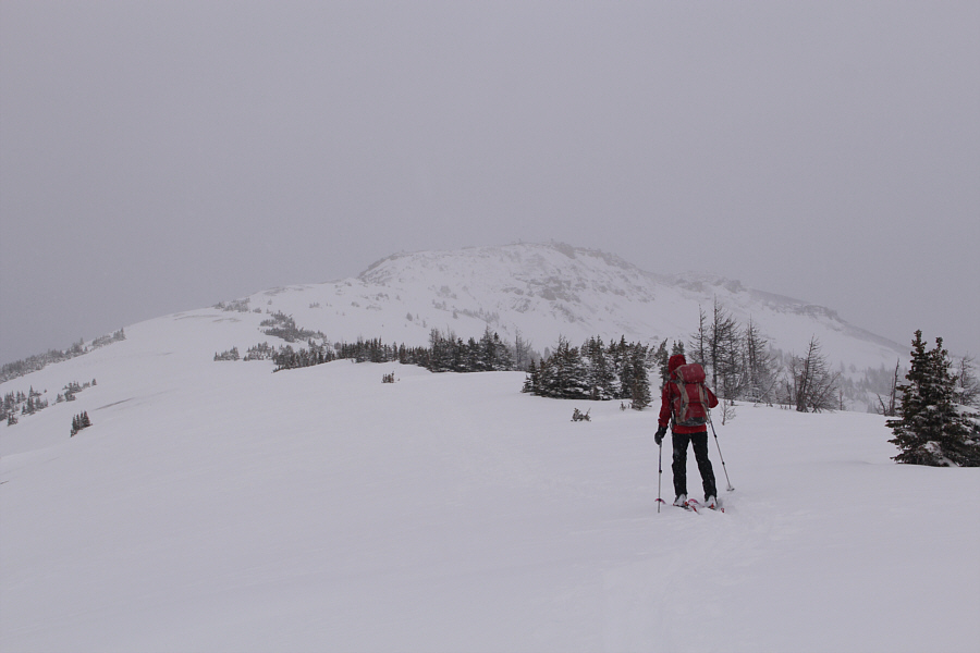 Too bad about the lack of views...