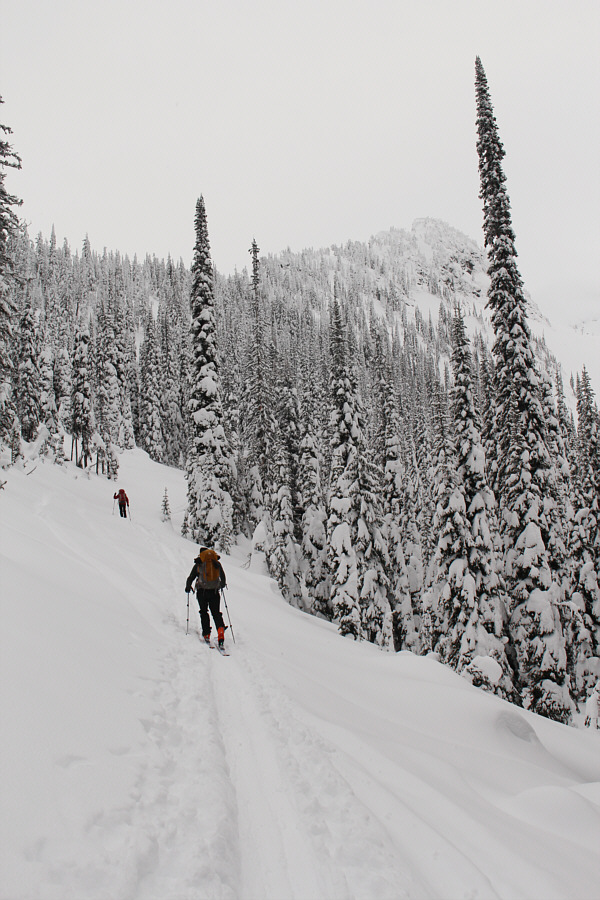 Little did we know that we would eventually descend through the steep forested slope straight ahead!