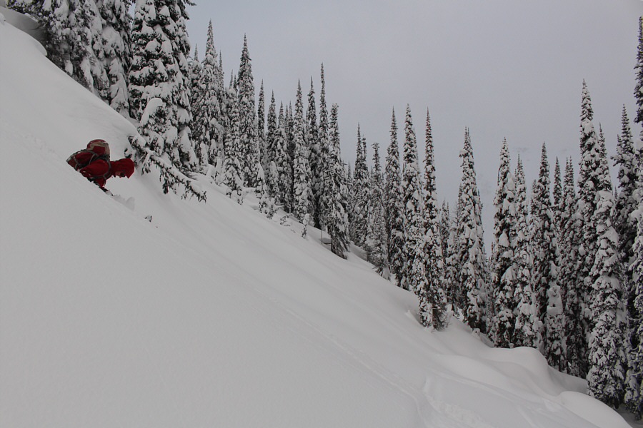 Who's idea was it to come this way??