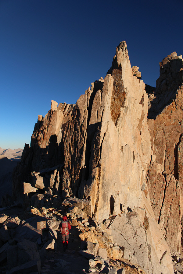 Zosia amazingly is still going strong!