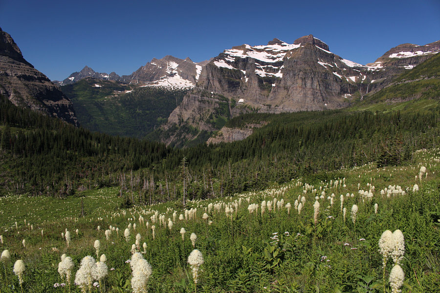 Now the trip is finally cookin'!