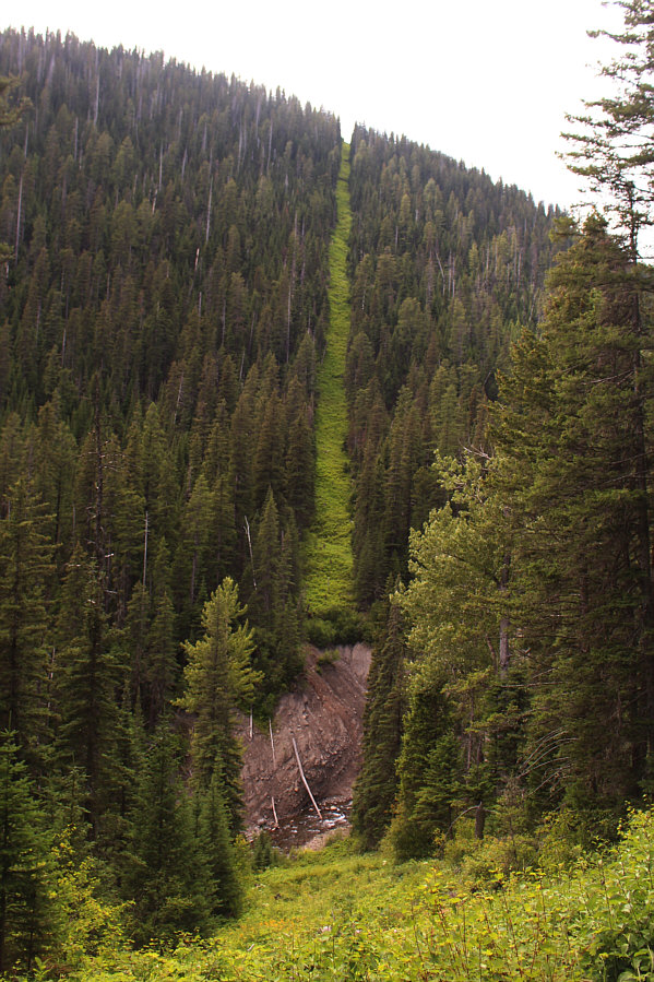 Man, I could use a drink from the duty-free shop...
