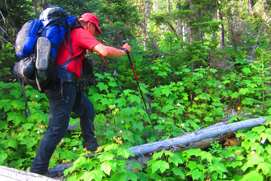 What else are we gonna do for the rest of the evening??