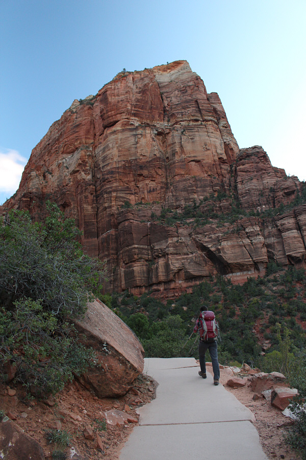 Possibly wheelchair-accessible?