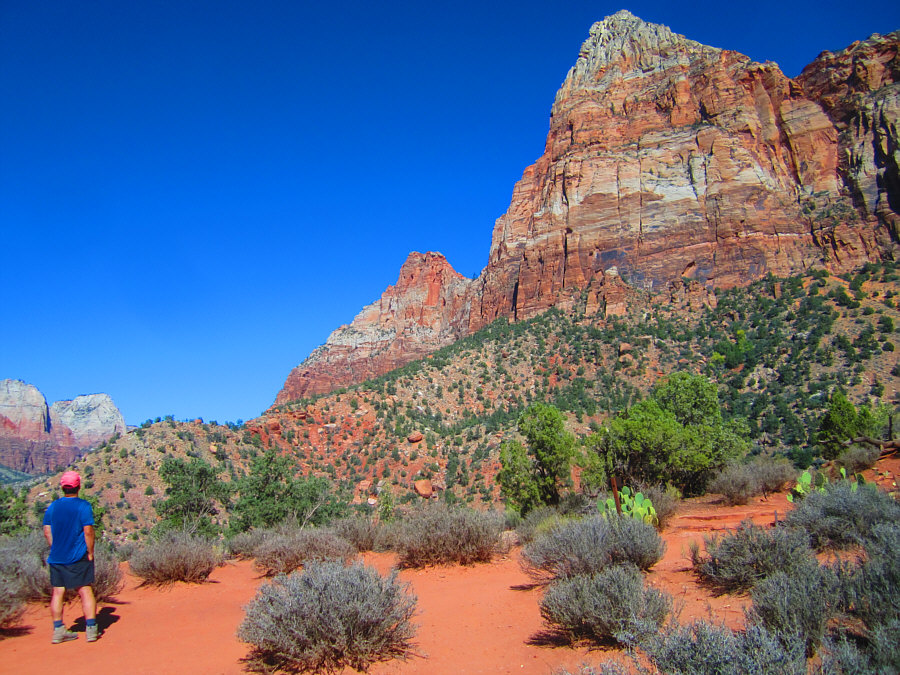 Boy, I could go for a nice, cold beer right about now!