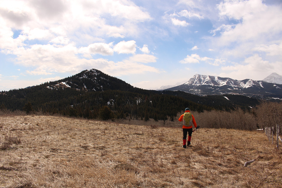 Where did everybody go??