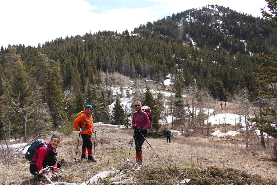 See any "sasanka" (Polish for pasque flower)?