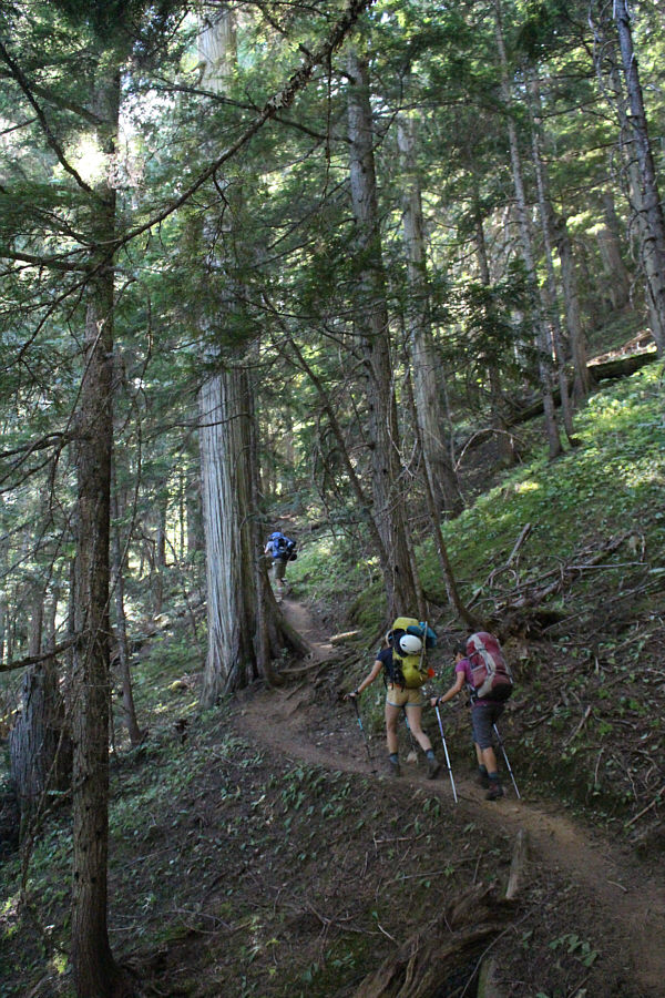 I talk to the trees...but they don't listen to me!