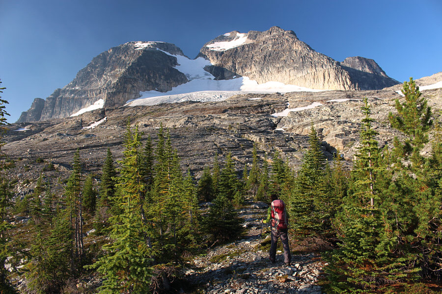 Some people camp among these last trees instead of the campground.
