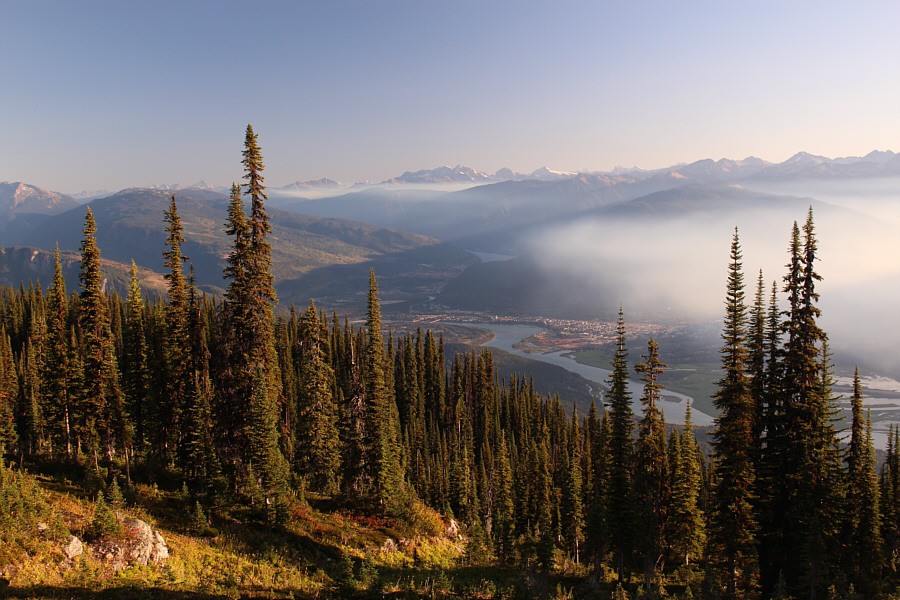 I hear a burger calling my name from town...