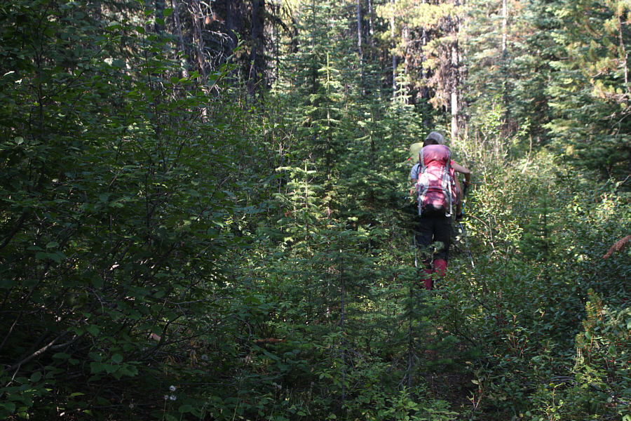 Someone needs to come here with a chainsaw...