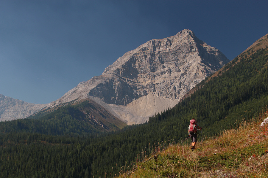 We're not quite done with the bushy road yet...