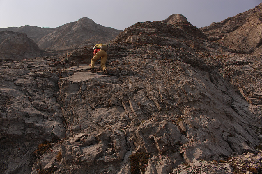 Going up is not too bad. Coming back down will be the real test!