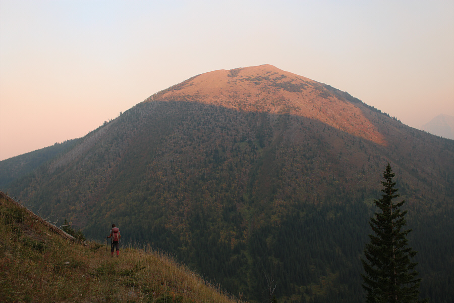 More bush coming up!