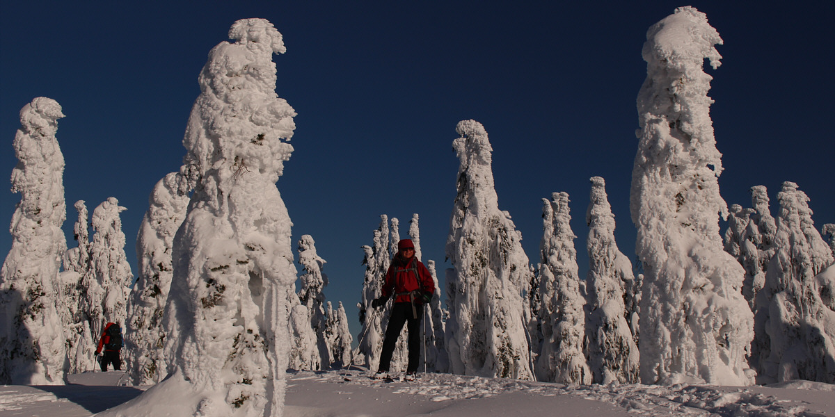 It's a marshmallow world in the winter!