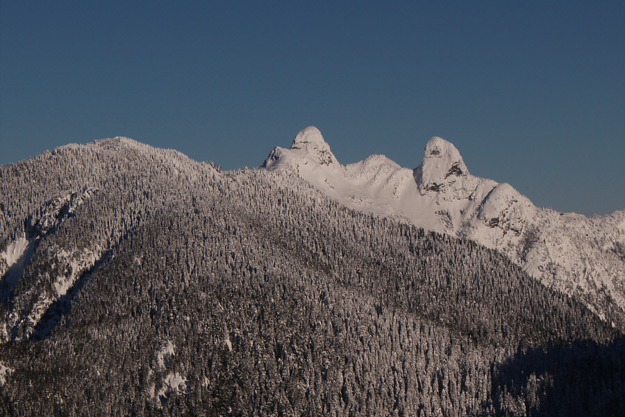 This is maybe the clearest view of the Lions I have ever had.