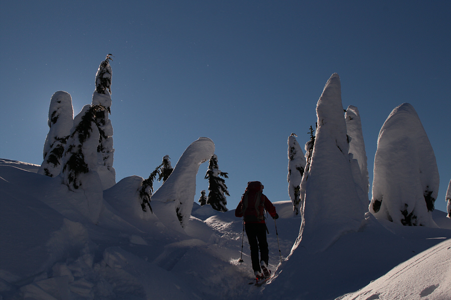 They're like sentinels...watching...and waiting...