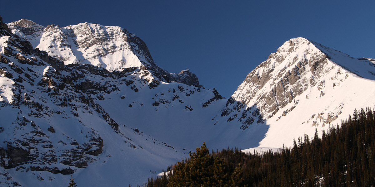 The name was coined by Andrew Nugara.