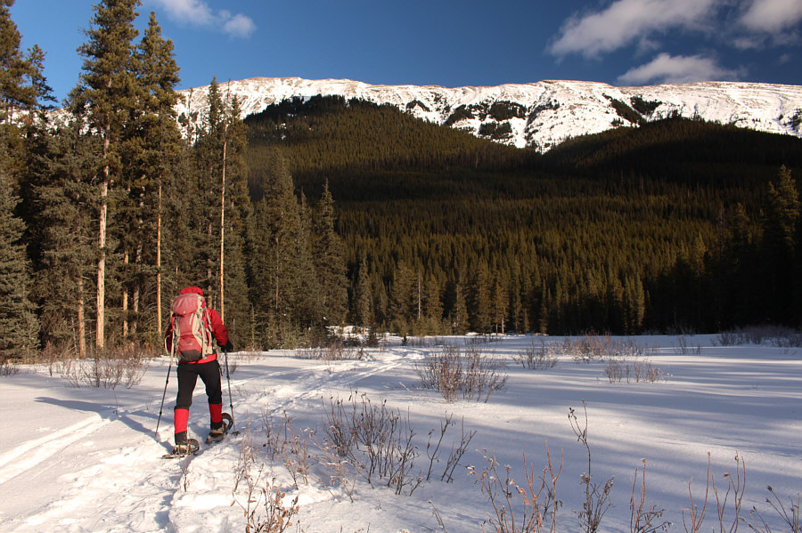 You know the skiing is bad when snowshoers beat skiers back to the parking lot!