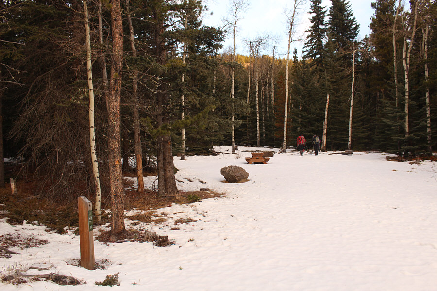 During the summer, it's $26 per night to camp here, and that doesn't include firewood.
