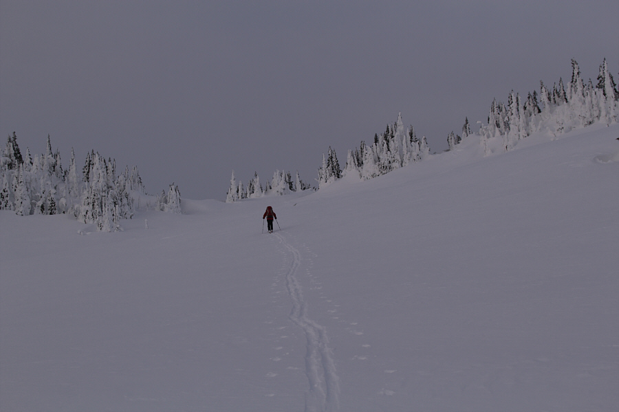 Running on fumes here...