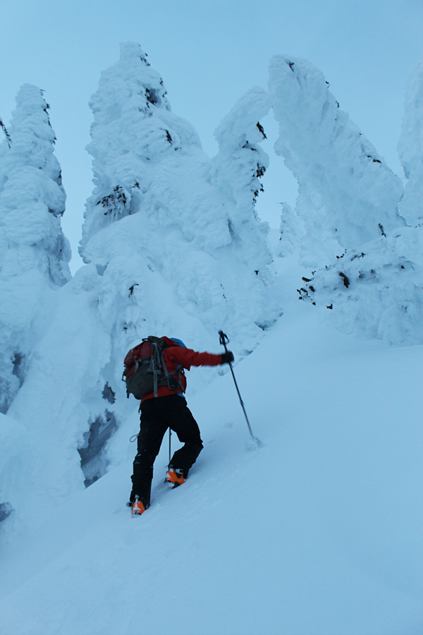 Shaun's in the Zone now!